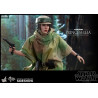 Star Wars Episode VI - Princess Leia, Wicket or Both figure, Movie Masterpiece
