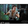 Star Wars Episode VI - Princess Leia, Wicket or Both figure, Movie Masterpiece