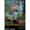 Star Wars Episode VI - Figurine Princesse Leia, Wicket ou Les deux, Movie Masterpiece