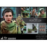 Star Wars Episode VI - Princess Leia, Wicket or Both figure, Movie Masterpiece