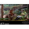 Star Wars Episode VI - Princess Leia, Wicket or Both figure, Movie Masterpiece