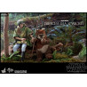 Star Wars Episode VI - Princess Leia, Wicket or Both figure, Movie Masterpiece