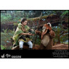 Star Wars Episode VI - Princess Leia, Wicket or Both figure, Movie Masterpiece