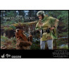 Star Wars Episode VI - Princess Leia, Wicket or Both figure, Movie Masterpiece