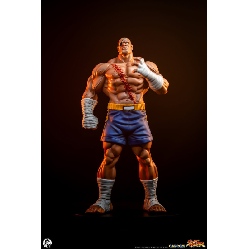 PREORDER - Street Fighter -...