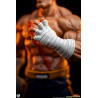 PREORDER - Street Fighter - Pack figures Sagat & Juli, Street Jam