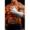 PRÉCOMMANDE - Street Fighter - Pack figurines Sagat & Juli, Street Jam