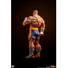 PREORDER - Street Fighter - Pack figures Sagat & Juli, Street Jam