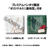Attack on Titan - Pack figures Levi Cleaning up & Mikasa Ackerman, Look Up (with gift)