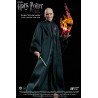 Harry Potter - Voldemort figure, Real Masters