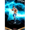 Tekken 6 and Tekken 5 - Marshall Law figure