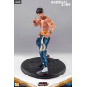 Tekken 6 and Tekken 5 - Marshall Law figure