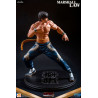 Tekken 6 and Tekken 5 - Marshall Law figure