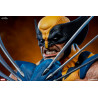 X-Men Marvel Comics - Buste Wolverine