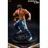 Tekken 6 and Tekken 5 - Marshall Law figure