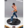 Tekken 6 and Tekken 5 - Marshall Law figure