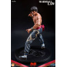 Tekken 6 and Tekken 5 - Marshall Law figure