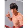 Tekken 6 and Tekken 5 - Marshall Law figure