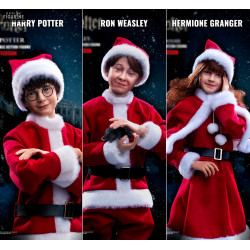 Harry Potter - Hermione,...