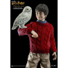 Harry Potter - Hermione, Ron or Harry child figure ver. Christmas, My Favourite Movie