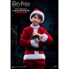 Harry Potter - Hermione, Ron or Harry child figure ver. Christmas, My Favourite Movie