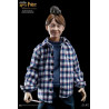 Harry Potter - Hermione, Ron or Harry child figure ver. Christmas, My Favourite Movie