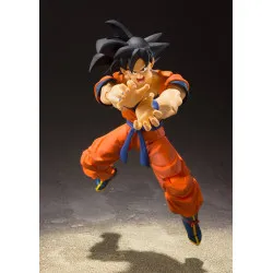Dragon Ball Z - Figurine...