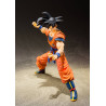 Dragon Ball Z - Son Goku figure (A Saiyan Raised On Earth), S.H. Figuarts
