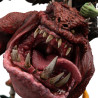 PRÉCOMMANDE - Warhammer: Age of Sigmar - Figurine Boingrot Bounder