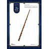 PRÉCOMMANDE - Harry Potter - Pack 6 stylos 25th Anniversary Wand Pen