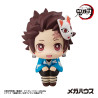 Demon Slayer Kimetsu no Yaiba - Tanjiro Kamado figure (Final Selection), Look Up