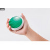 Dragon Ball - Dragon Radar replica, Proplica