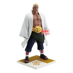 Naruto Shippuden - Figurine...