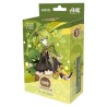 Genshin Impact - Pre-Build Starter Deck 05 Collei, Series 1 (Chinese Version)