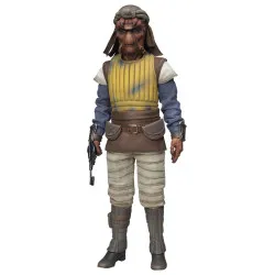 Star Wars - Figurine Vizam
