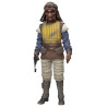 Star Wars - Figurine Vizam