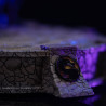 PRÉCOMMANDE - Mortal Kombat - Figurine Rain heo exclusive, Art Scale