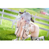PREORDER - Original Character - Shion Blankness figure Cow Bikini, Illustration by Nadare Takamine