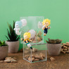 PRÉCOMMANDE - Dragon Ball - Pack 6 figurines aléatoires Tobimas Volume 2, Blind Box