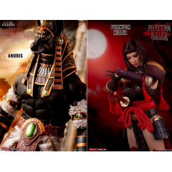 Anubis Guardian of The...
