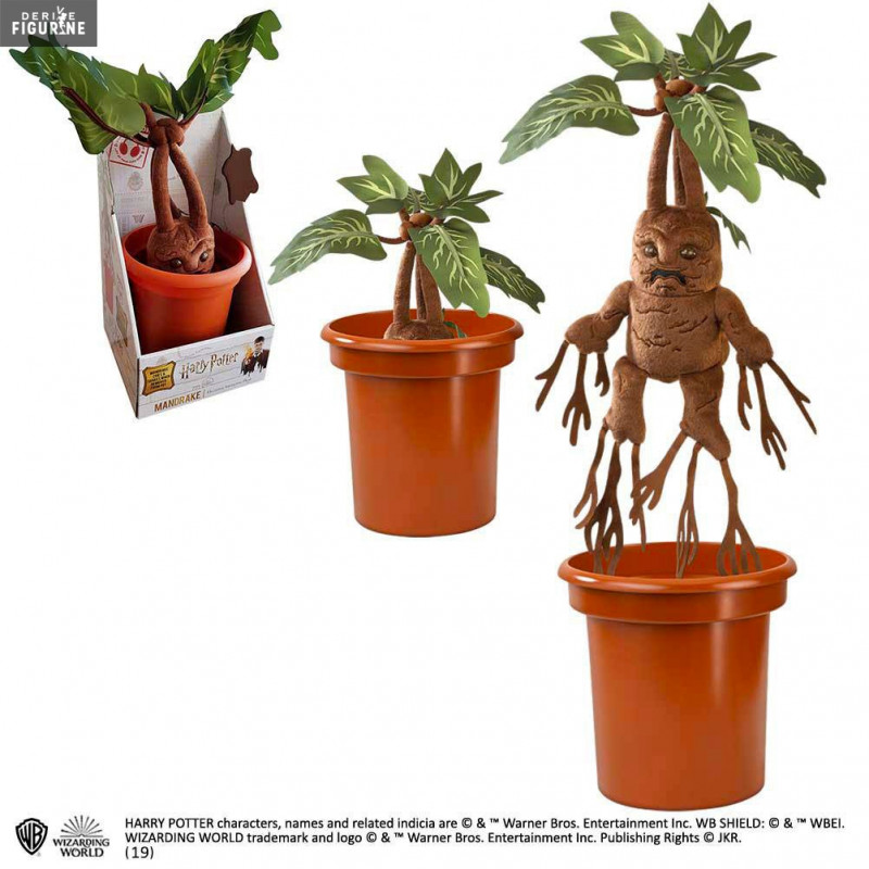 Harry Potter - Mandrake...