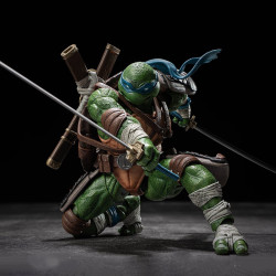 Teenage Mutant Ninja...