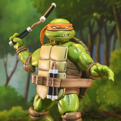 PREORDER - Teenage Mutant...