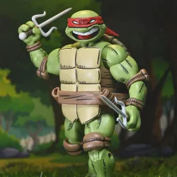 PRÉCOMMANDE - Les Tortues...