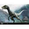 PRE ORDER - Jurassic World - Blue figure, Prime Collectibles