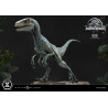 PRE ORDER - Jurassic World - Blue figure, Prime Collectibles