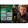 Harry Potter - Wormtail (Peter Pettigrew) figure ver. Classic or Deluxe, My Favourite Movie