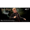 Harry Potter - Wormtail (Peter Pettigrew) figure ver. Classic or Deluxe, My Favourite Movie