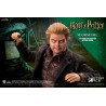 Harry Potter - Wormtail (Peter Pettigrew) figure ver. Classic or Deluxe, My Favourite Movie