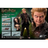 Harry Potter - Wormtail (Peter Pettigrew) figure ver. Classic or Deluxe, My Favourite Movie